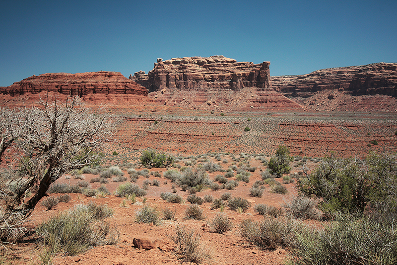 Valley of the Gods : Utah : Landscape Photos : Richard Moore : Photographer